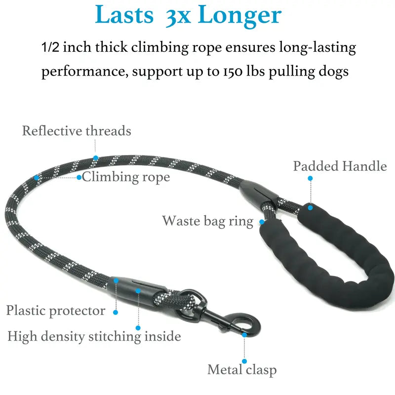 Dual Dog Leash with 360° Swivel – No Tangle Bungee Leash for Two Dogs