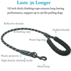 Dual Dog Leash with 360° Swivel – No Tangle Bungee Leash for Two Dogs