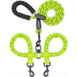 Dual Dog Leash with 360° Swivel – No Tangle Bungee Leash for Two Dogs