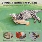 Catnip Chew Toy – Interactive Kicker Toy with Organic Catnip for Indoor Cats