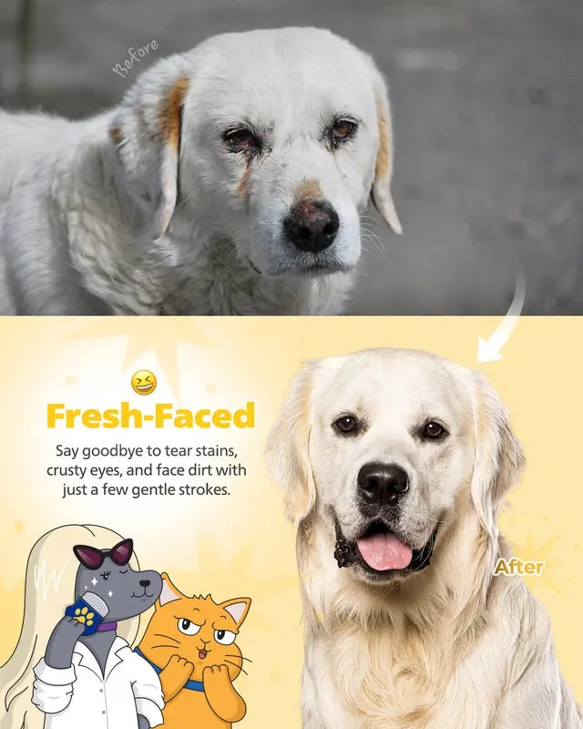 Easy Facial Comb for Cats and Dogs Pets Eye Comb